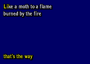 Like a moth toa flame
burned by the me

that's the way