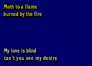 Moth to a flame
burned by the me

My love is blind
can't you see mydesire