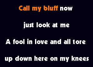 Call my bluff now
iust look at me

A fool in love and all tore

up down here on my knees