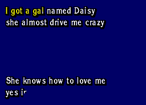 Igot a gal named Daisyr
she almost drive me crazy

She knows how to love me
yes ir