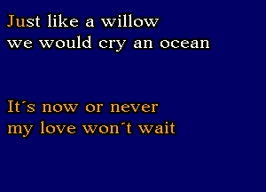 Just like a willow
we would cry an ocean

IFS now or never
my love wonT wait