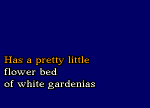 Has a pretty little
flower bed
of white gardenias