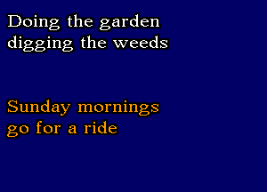 Doing the garden
digging the weeds

Sunday mornings
go for a ride