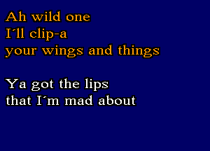 Ah wild one
I'll clip-a
your wings and things

Ya got the lips
that I'm mad about