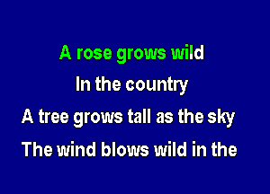 A rose grows wild
In the country

A tree grows tall as the sky

The wind blows wild in the