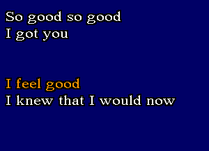 So good so good
I got you

I feel good
I knew that I would now