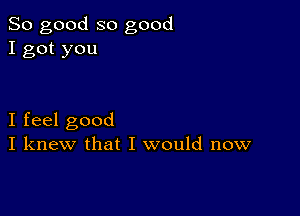 So good so good
I got you

I feel good
I knew that I would now