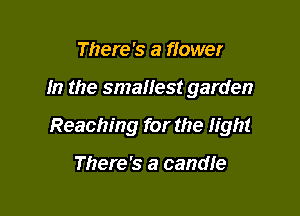 There's a flower

In the smallest garden

Reaching for the tht

There's a candle