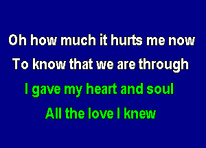 Oh how much it hurts me now
To know that we are through
I gave my heart and soul
All the love I knew