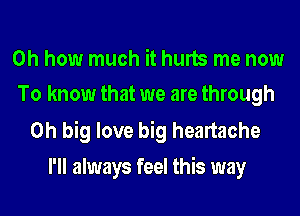 Oh how much it hurts me now
To know that we are through

0h big love big heartache
I'll always feel this way