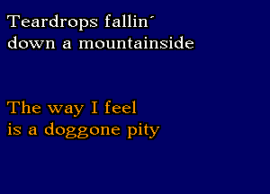 Teardrops fallin'
down a mountainside

The way I feel
is a doggone pity