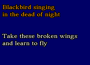 Blackbird singing
in the dead of night

Take these broken wings
and learn to fly