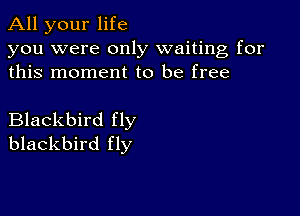 All your life
you were only waiting for
this moment to be free

Blackbird fly
blackbird fly