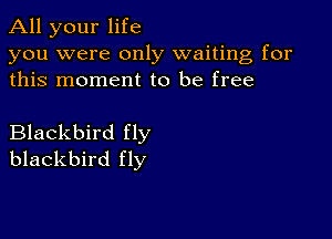 All your life
you were only waiting for
this moment to be free

Blackbird fly
blackbird fly