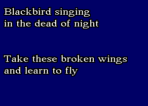 Blackbird singing
in the dead of night

Take these broken wings
and learn to fly