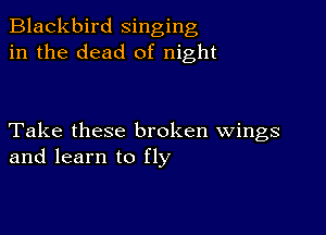 Blackbird singing
in the dead of night

Take these broken wings
and learn to fly