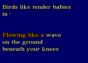 Birds like tender babies
in

Flowing like a wave
on the ground
beneath your knees