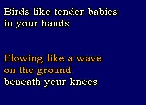 Birds like tender babies
in your hands

Flowing like a wave
on the ground
beneath your knees