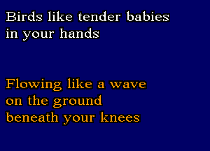 Birds like tender babies
in your hands

Flowing like a wave
on the ground
beneath your knees