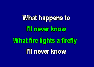 What happens to
I'll never know

What fire lights a fIreHy
I'll never know