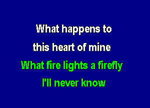 What happens to
this heart of mine

What fire lights a firefly
I'll never know