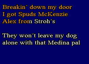 Breakin' down my door
I got Spuds McKenzie
Alex from Stroh's

They won't leave my dog
alone with that Medina pal