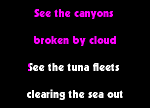 See the canyons
broken by cloud

See the tuna Heels

clearing the sea out