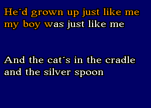 He'd grown up just like me
my boy was just like me

And the cat's in the cradle
and the silver spoon