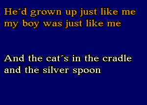 He'd grown up just like me
my boy was just like me

And the cat's in the cradle
and the silver spoon