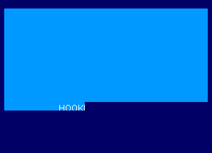 HOOKI