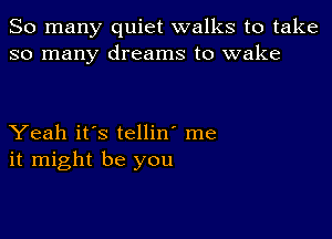 So many quiet walks to take
so many dreams to wake

Yeah it's tellin' me
it might be you