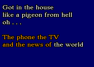 Got in the house

like a pigeon from hell
oh . . .

The phone the TV
and the news of the world