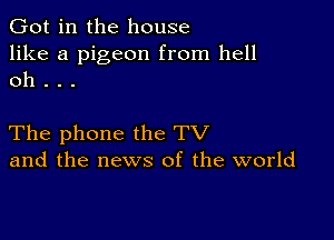 Got in the house

like a pigeon from hell
oh . . .

The phone the TV
and the news of the world