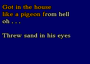 Got in the house

like a pigeon from hell
oh . . .

Threw sand in his eyes