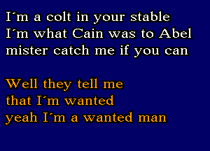 I'm a colt in your stable
I'm what Cain was to Abel
mister catch me if you can

Well they tell me
that I'm wanted
yeah I'm a wanted man