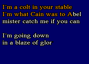 I'm a colt in your stable
I'm what Cain was to Abel
mister catch me if you can

I m going down
in a blaze of glor