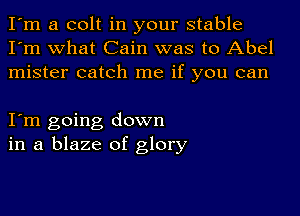 I'm a colt in your stable
I'm what Cain was to Abel
mister catch me if you can

I'm going down
in a blaze of glory