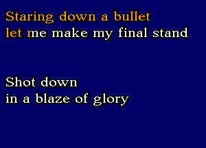 Staring down a bullet
let me make my final stand

Shot down
in a blaze of glory