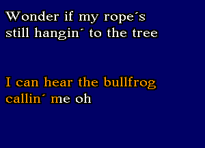 XVonder if my ropefs
still hangin' to the tree

I can hear the bullfrog
callin' me oh