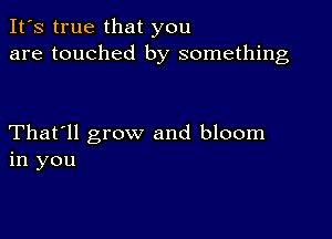 It's true that you
are touched by something

That'll grow and bloom
in you