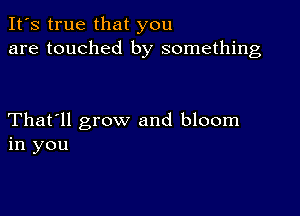 It's true that you
are touched by something

That'll grow and bloom
in you