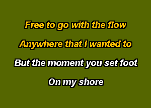 Free to go with the flow

Anywhere that I wanted to

But the moment you set foot

On my shore