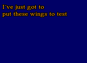 I've just got to
put these wings to test