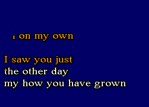 1 on my own

I saw you just
the other day
my how you have grown