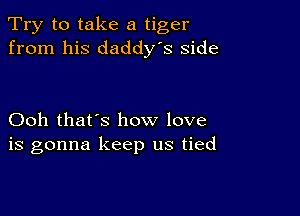 Try to take a tiger
from his daddy's side

Ooh that's how love
is gonna keep us tied