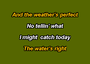 And the weather's perfect

No temn' What

Imight catch today

The water's right