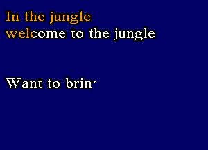 In the jungle
welcome to the jungle

XVant to brin'