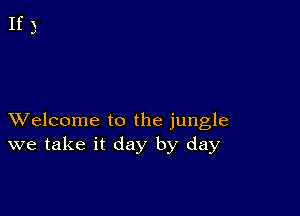 XVelcome to the jungle
we take it day by day