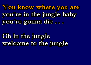 You know where you are
you're in the jungle baby
youTe gonna die . . .

Oh in the jungle
welcome to the jungle