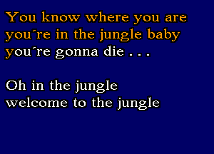 You know where you are
you're in the jungle baby
youTe gonna die . . .

Oh in the jungle
welcome to the jungle